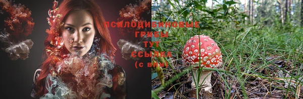 гашик Абинск