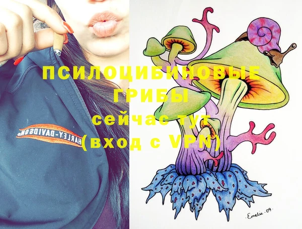 ГАЛЛЮЦИНОГЕННЫЕ ГРИБЫ Алзамай
