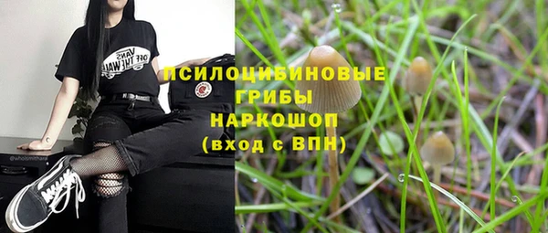мяу мяу мука Алексеевка