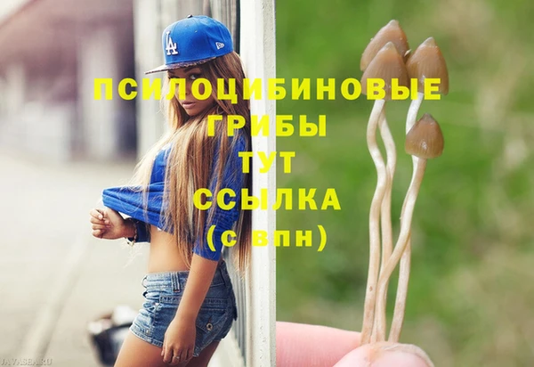 гашик Абинск