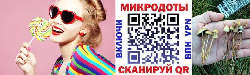 где продают   Ивангород  Галлюциногенные грибы Psilocybine cubensis 